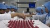 Pekerja laboratorium di fasilitas BioFarma di Bandung, tengah memeriksa botol yang memiliki teknologi monitor botol vaksin yang dimasukkan ke dalam labelnya, di Bandung, Indonesia, Februari 2017. (U. Kartoglu/PATH)
