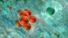 Researchers want to use the heat generated by nanoparticles to kill cancer cells, while not affecting nearby healthy tissue.