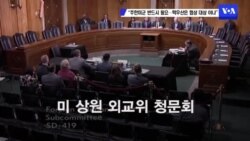 “주한미군 반드시 필요…'핵우산' 협상 대상 아냐”