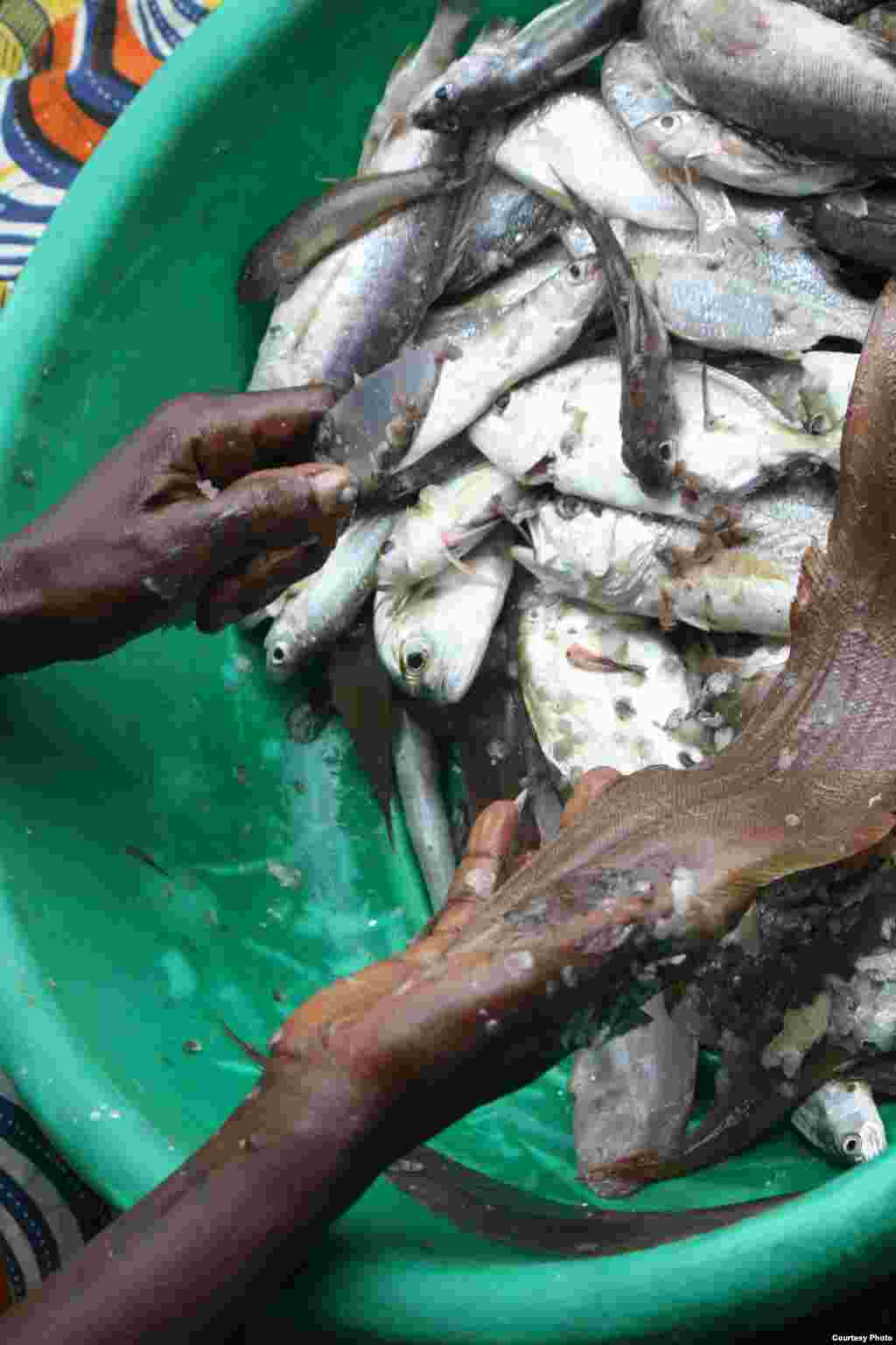 Women say selling fish in Makoko is as much of a tradition as catching fish,&nbsp;July 5, 2013. Photo: VOA/H. Murdock