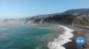  Warmer Oceans Mean More Sea Urchins Eating Through Ecosystems