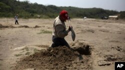 FILE - A volunteer searcher digs into the earth at a clandestine gravesite in Colinas de Santa Fe, in Mexico's Veracruz state, March 30, 2017. The Mexican government's human rights agency says tens of thousands of people have been recorded as missing across the country over the past two decades.