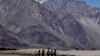 Tourists ride double hump camels at Nubra valley, in Ladakh, India, July 2011.
