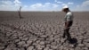 La ONU pronostica un año con altas temperaturas que podría sacudir las siembras en gran parte del planeta.