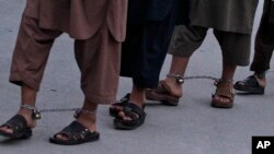 این اولین بار است که چنین گروهی در ولایت غزنی بازداشت می‌گردد.