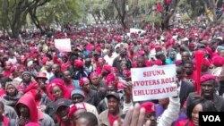 Vamwe vatsigiri veMDC Alliance