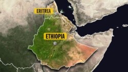 ከኢትዮጵያና ከኤርትራ አዋሳኝ አካባቢዎች የተወከሉ ነዋሪዎች