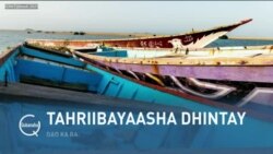 Qubanaha VOA