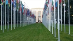 Cuestionan debut de Venezuela en Consejo de DD.HH. de la ONU
