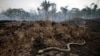 La deforestación de la selva amazónica brasileña aumenta en marzo