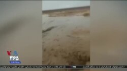 اخبار شبانگاهی