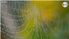 16x9 Image