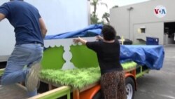 Party Float, Miami
