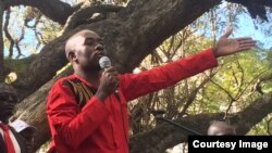 VaNelson Chamisa 